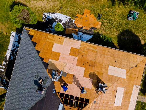 Best Metal Roofing Contractor  in Carrollton, OH